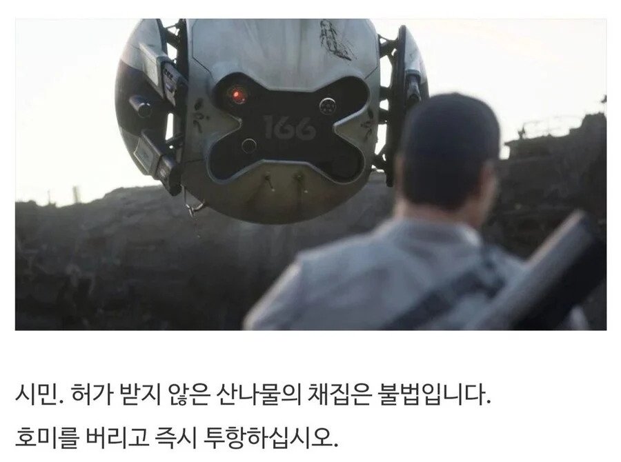 산에서 함부로 나물 캐면 안되는 이유 | 인스티즈