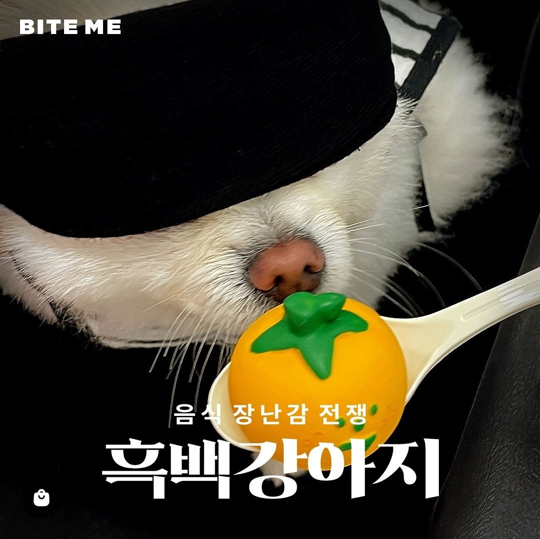 반려견 용품 시장이 얼마나 트렌드에 민감한지 증명해 보겠습니다 feat.흑백요리사 | 인스티즈