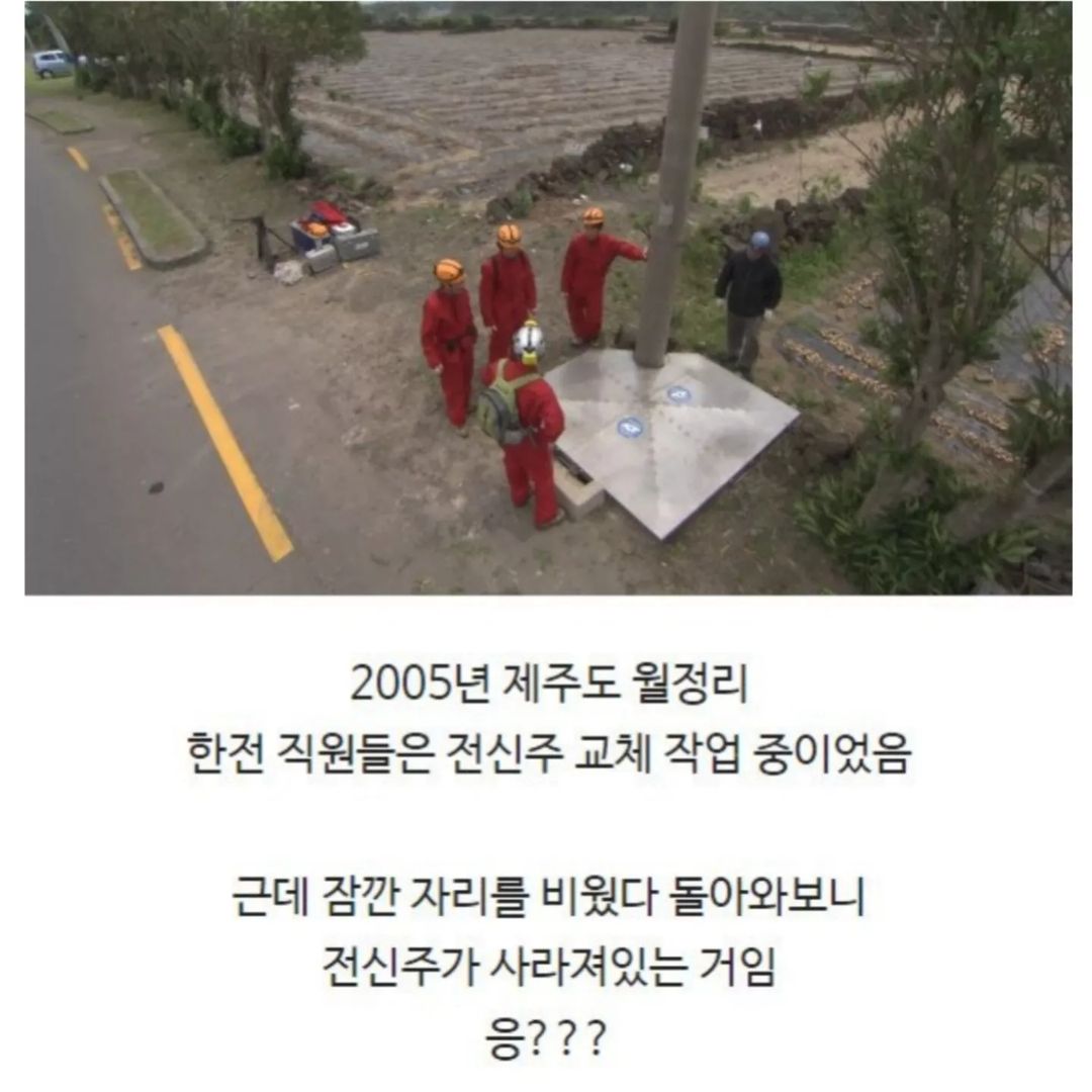 전신주 교체하다가 발견한 세계 | 인스티즈