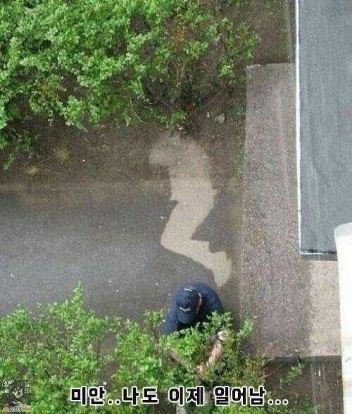 주인아⋯ 비도 오는데 좀 깨워주지 그랬냐⋯.jpg | 인스티즈