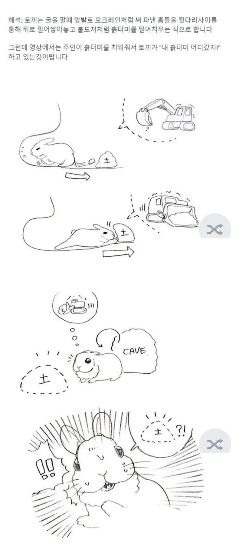 토끼가 굴 파다가 당황한 이유 | 인스티즈