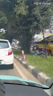 인도네시아의 원숭이 구걸.gif | 인스티즈