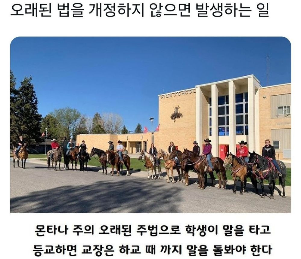 미국 고딩들: 교장 선생님, 고생 좀 하시죠 ㅎㅎㅋㅋ | 인스티즈