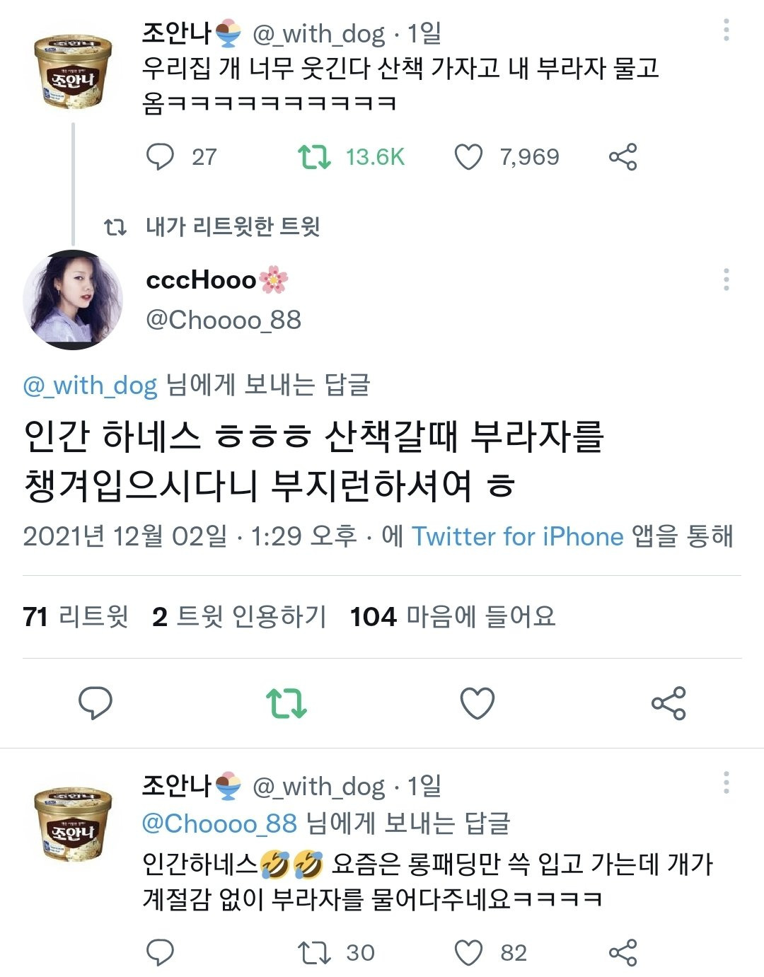 우리집 개 산책가자고 부라자 물고 옴 | 인스티즈