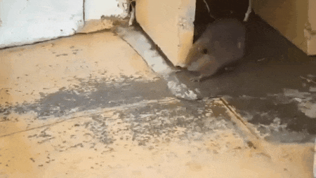 아직 어려서 위험하다고 생각하는 엄마 | 인스티즈