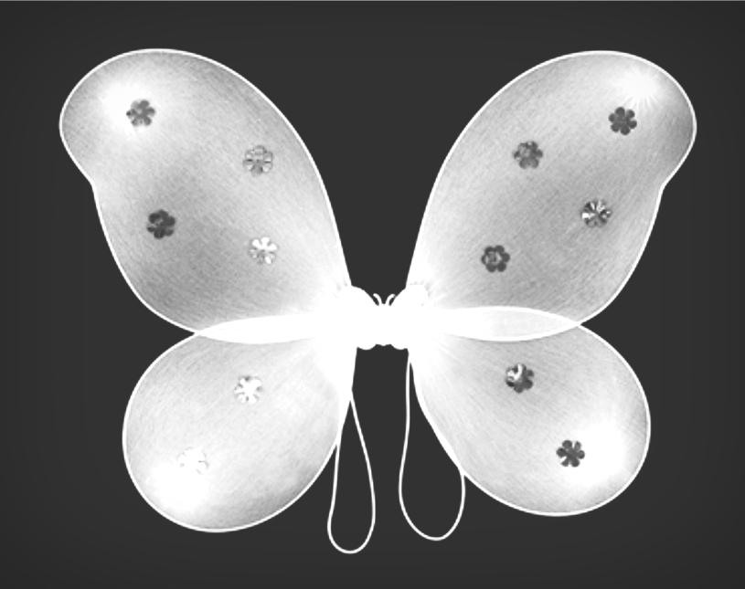 요정 날개의 비밀 | 인스티즈