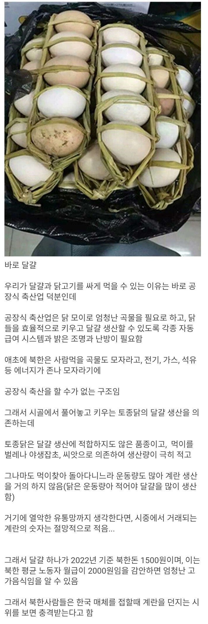 의외로 북한에서 고급 식재료 취급을 받는 물건 | 인스티즈