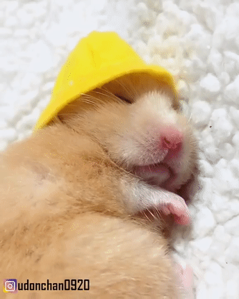 유치원 갈 준비 다 해놓고 잠들어버린 | 인스티즈