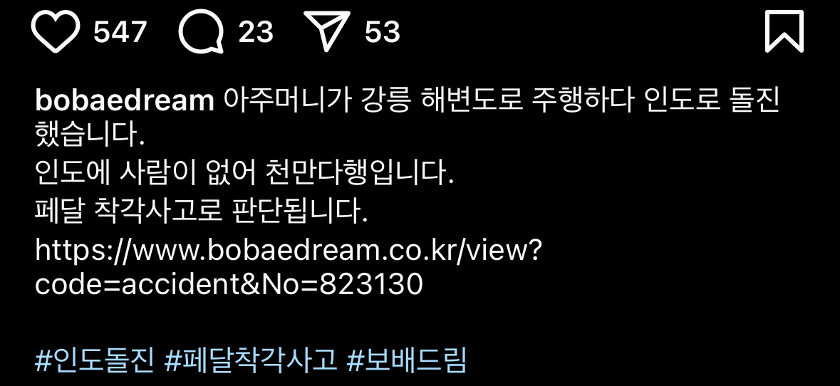 비둘기도 구경 온 강릉 렉서스 돌진 사고.jpg | 인스티즈