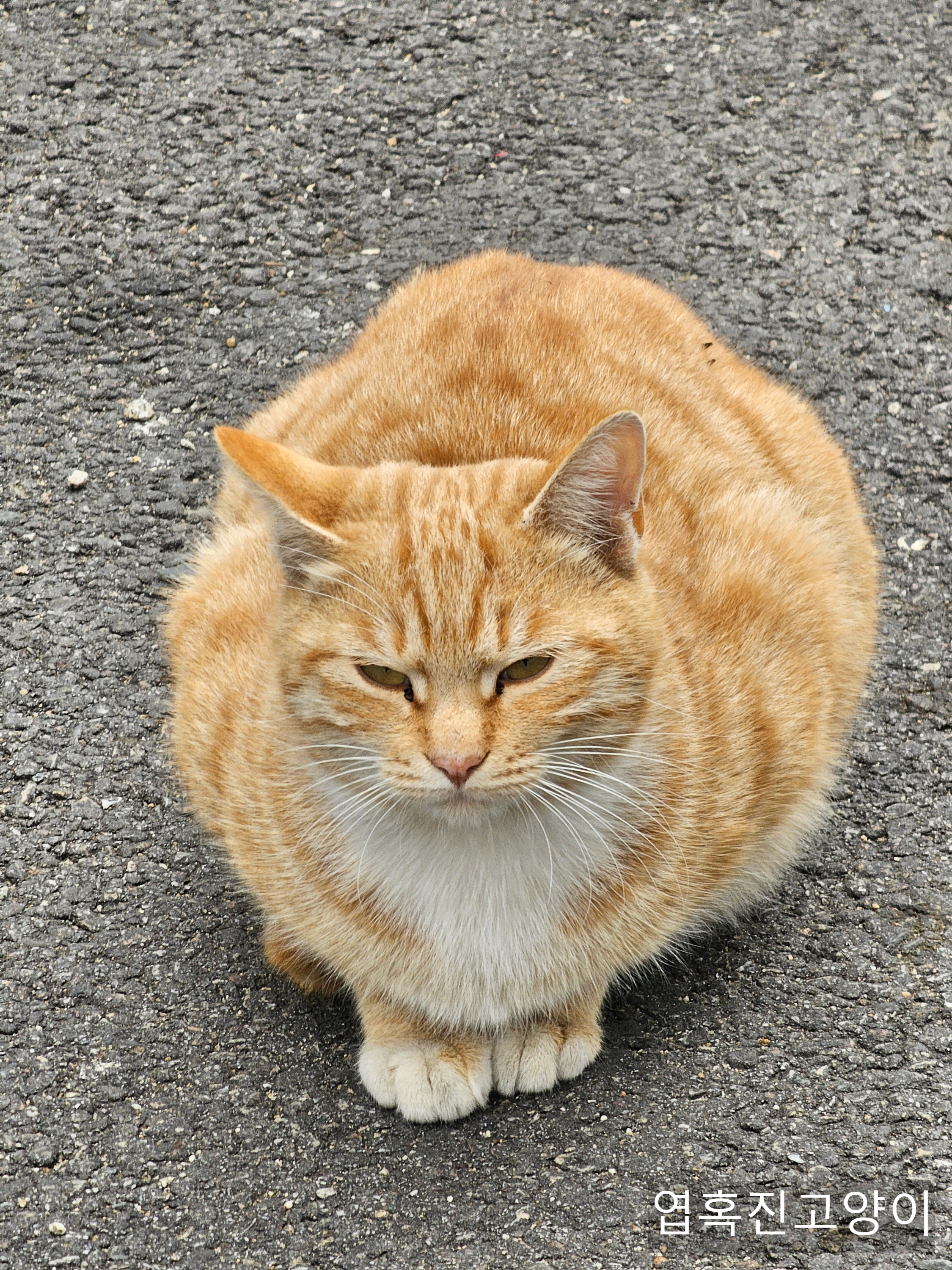 우리회사 복지자랑ㅎ | 인스티즈