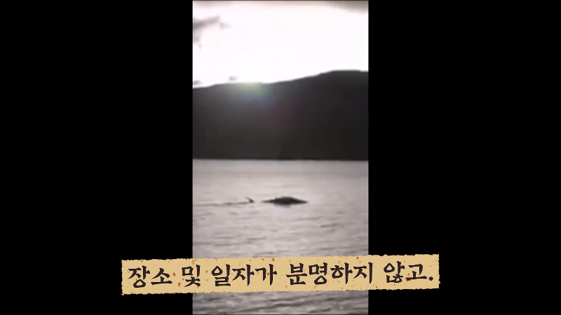 세계각국의 크립티드 영상 모음 | 인스티즈