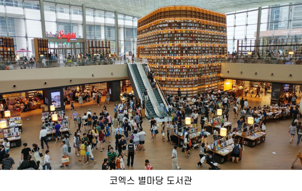 전국 도서관 정보 🌿📚 | 인스티즈