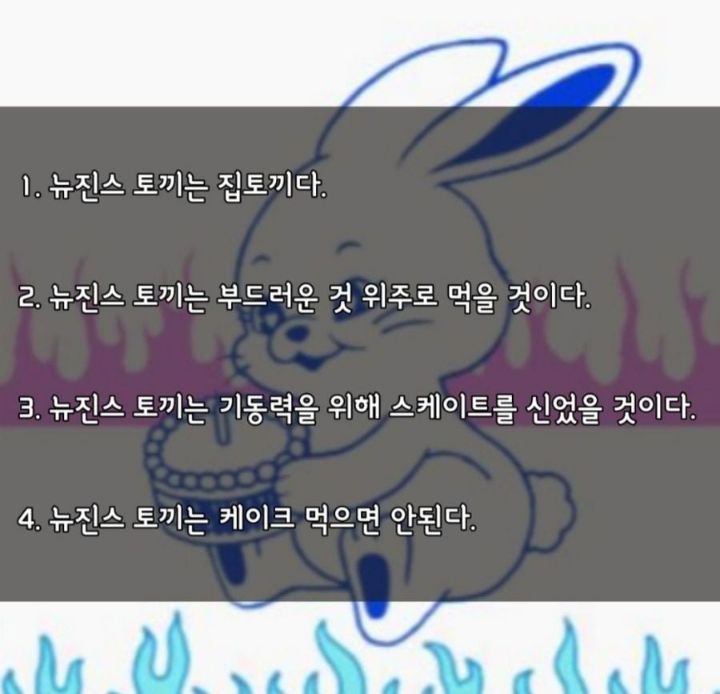 수의사가 분석하는 뉴진스 토끼 특징 | 인스티즈