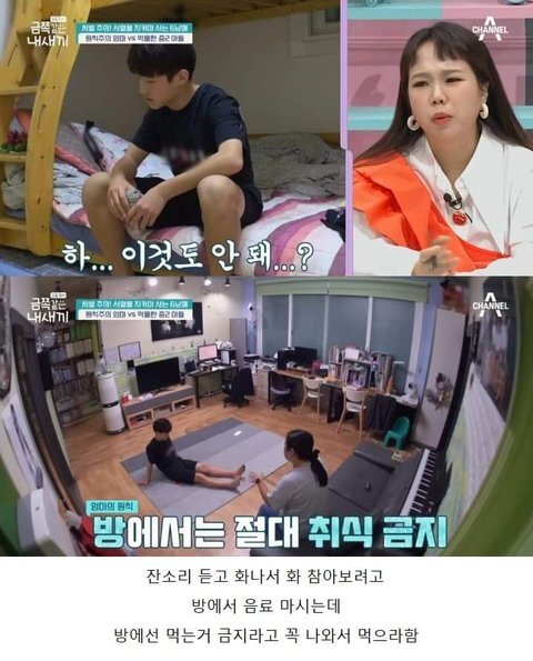 저번주 금쪽이 레전드 | 인스티즈