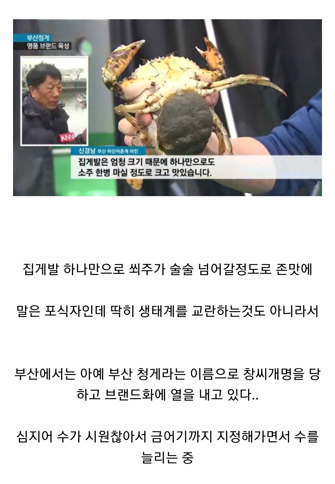 생태계 교란종 근황 | 인스티즈