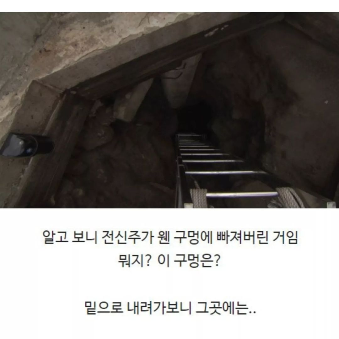 전신주 교체하다가 발견한 세계 | 인스티즈