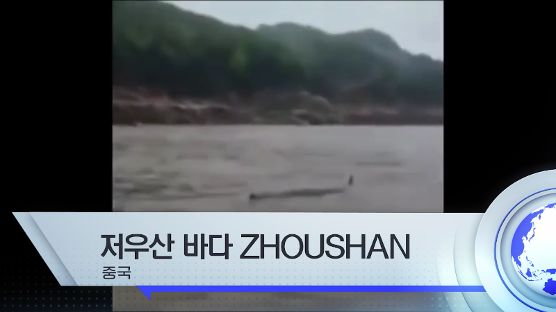 세계각국의 크립티드 영상 모음 | 인스티즈