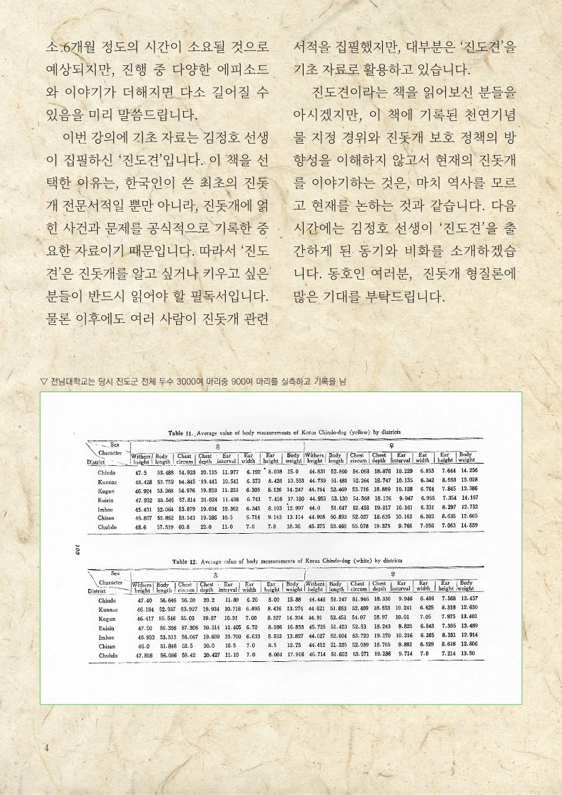 남도의 보물 '진도개' 그 형태와 성질 | 인스티즈