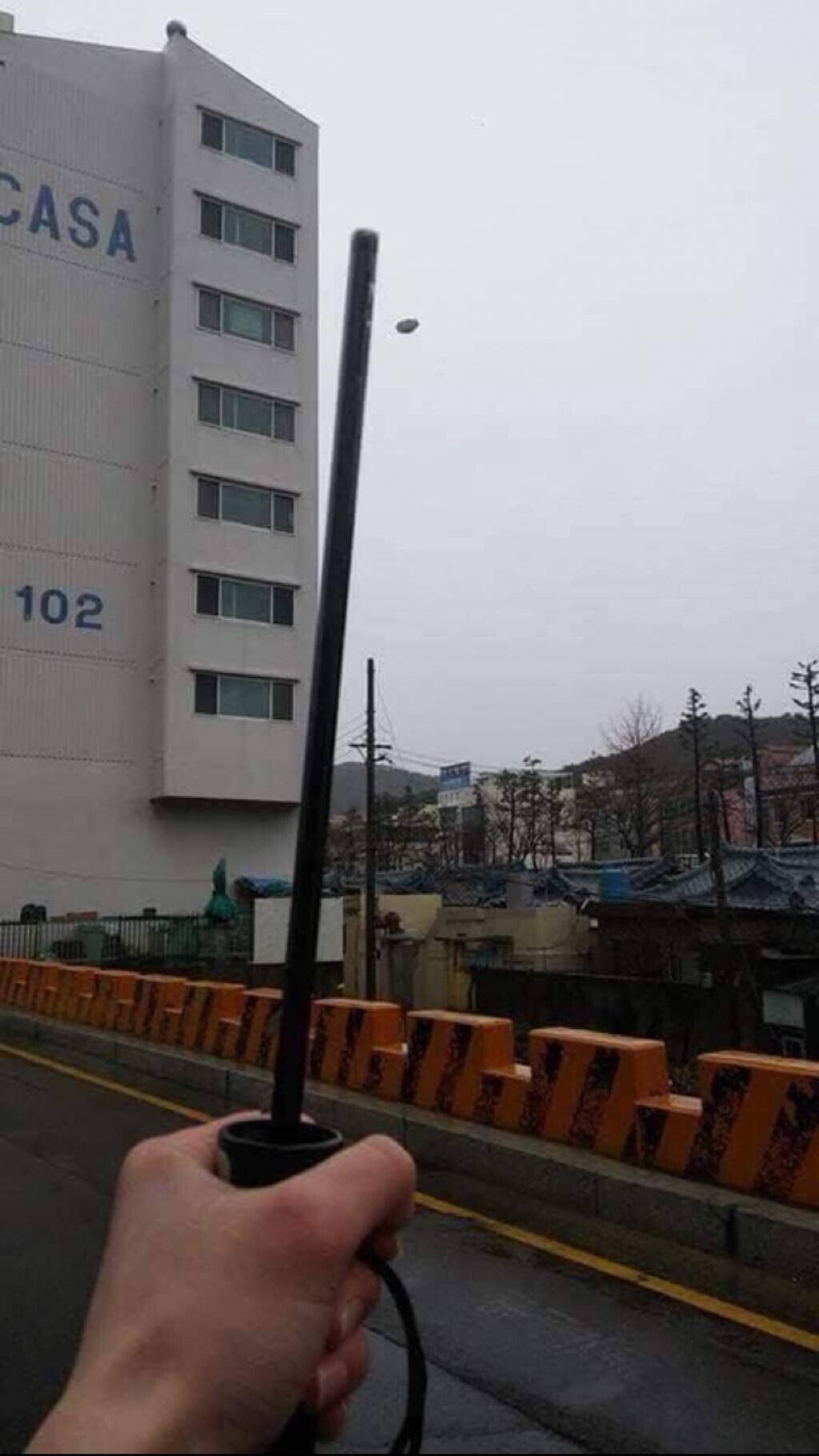 다이소에서 산 우산 후기 | 인스티즈