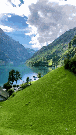 ⛰☀️스위스의 여름.gif | 인스티즈