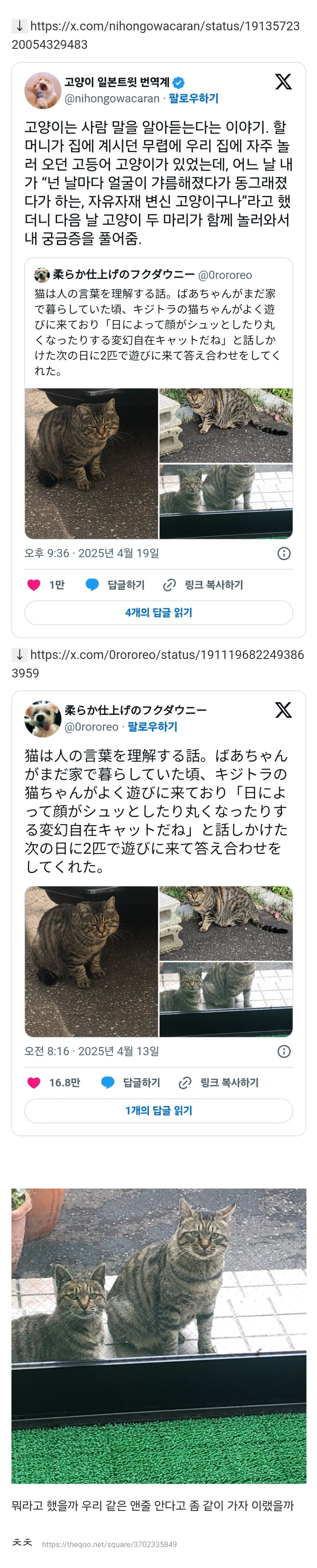 나 아냥 | 인스티즈