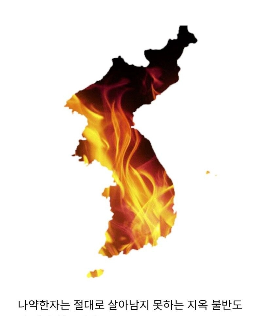 생태계 교란종 근황 | 인스티즈