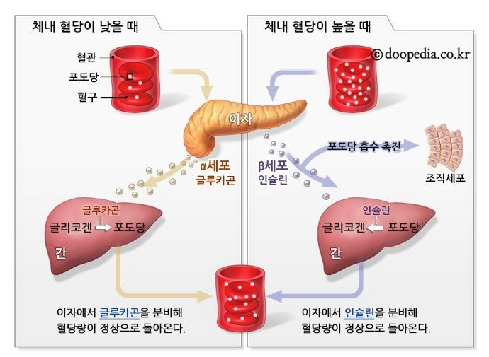 당뇨가 오는 충격적인 과정 | 인스티즈
