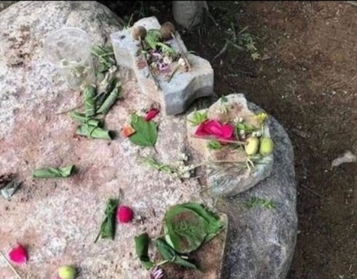 돌멩이 갈고 풀 찧어서 소꿉놀이 해 본 분들은 자리에서 일어나주세요 | 인스티즈