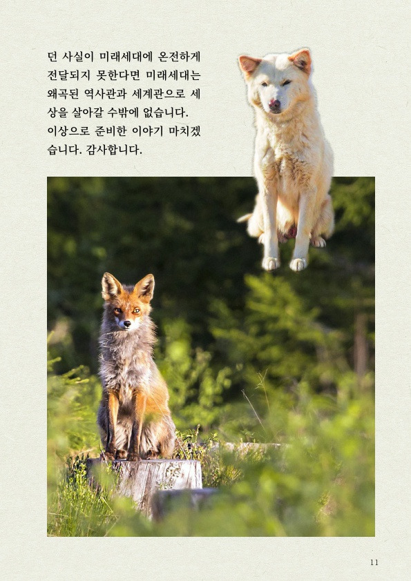 '진돗개' 타고난 감각 지능 | 인스티즈