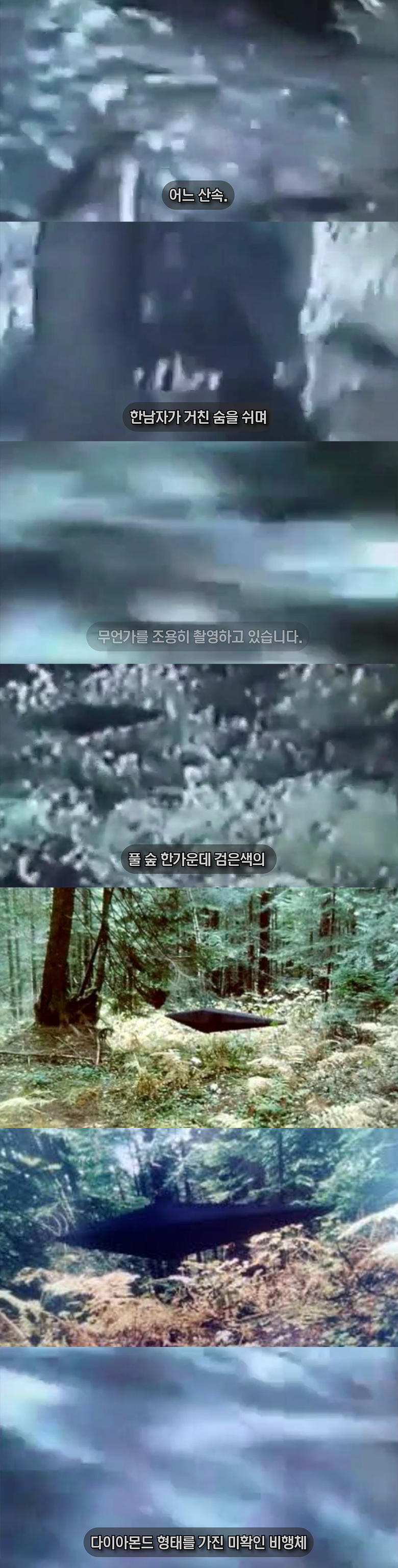 외계인을 통나무로 때려잡은 사건?! 영상 및 사진 공개 [열람주의] | 인스티즈