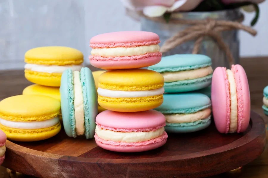 베트남의 흡혈귀, 마카롱 | 인스티즈