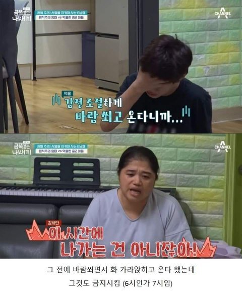 저번주 금쪽이 레전드 | 인스티즈