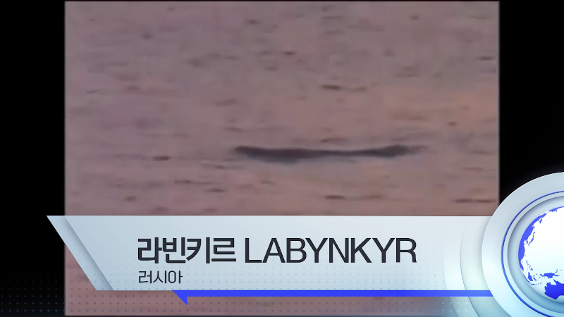 세계각국의 크립티드 영상 모음 | 인스티즈