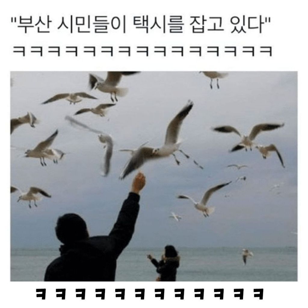 엥 지하철 없으면 뭐타고다님? | 인스티즈