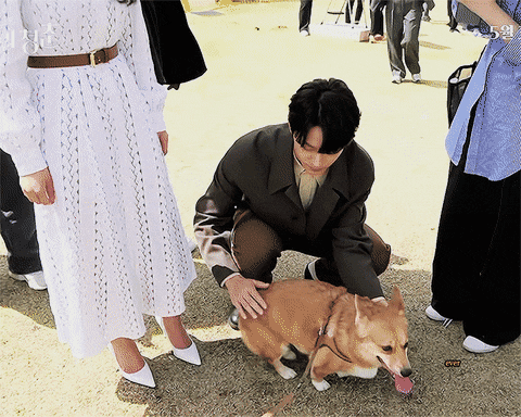 이도현 드라마 촬영장에서 반려견 가을이랑.gif | 인스티즈