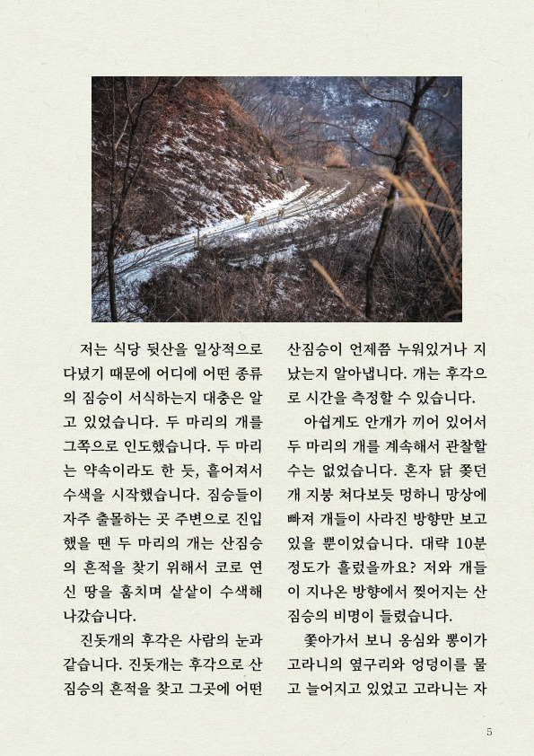 천재 진돗개의 '털' 감각 | 인스티즈