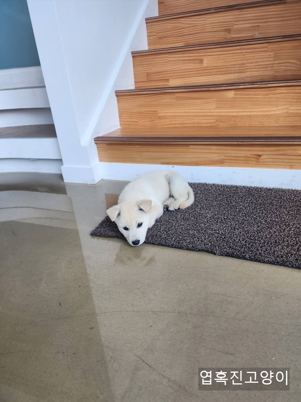 우리회사 복지자랑ㅎ | 인스티즈