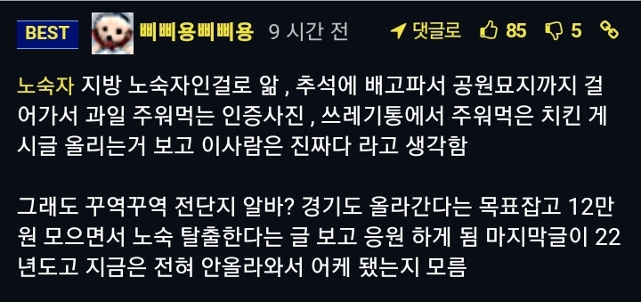 디시인이 알려주는 노숙 팁 | 인스티즈