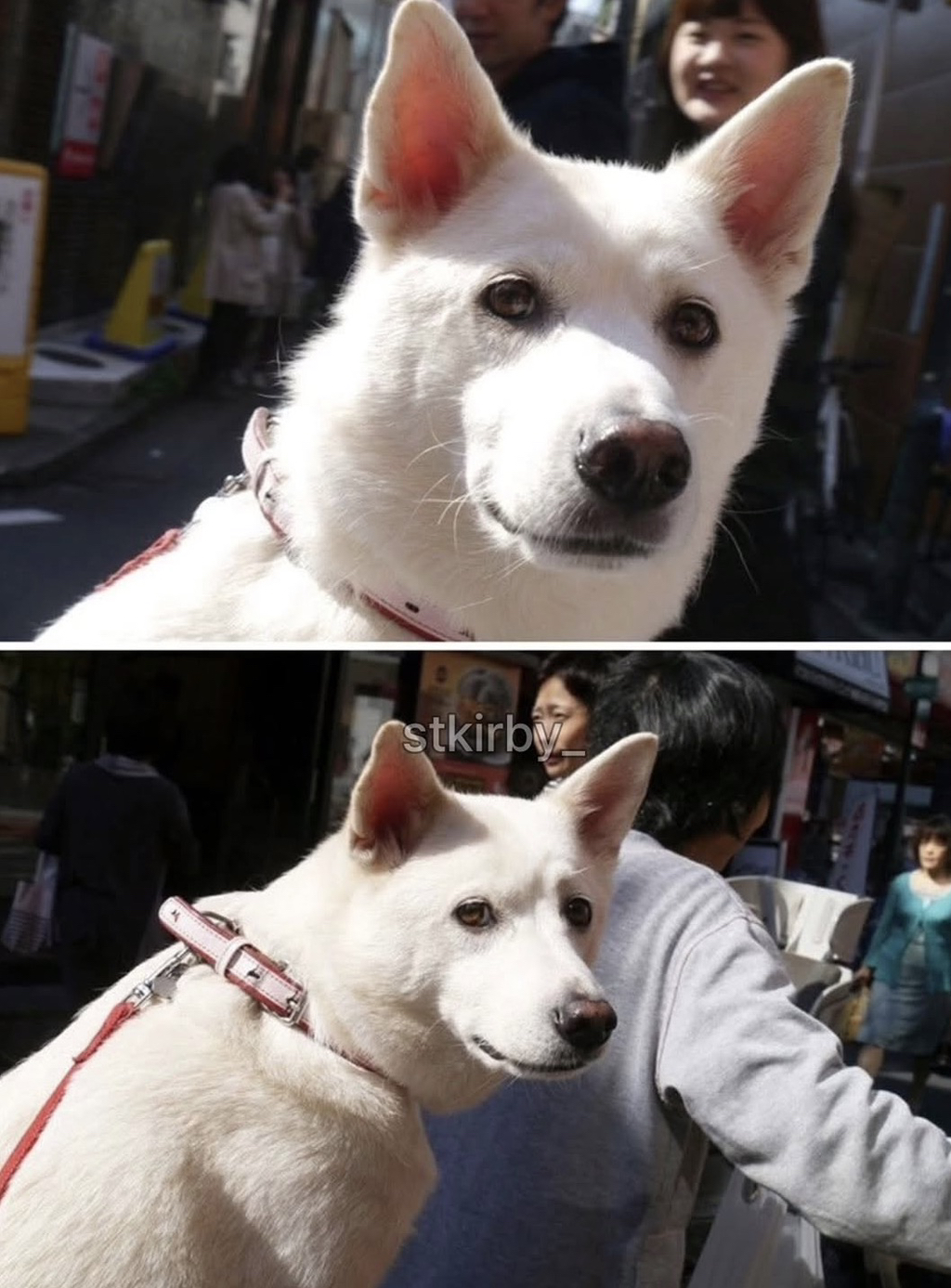 ??:당신은 무사히 사람으로 태어났구려 | 인스티즈