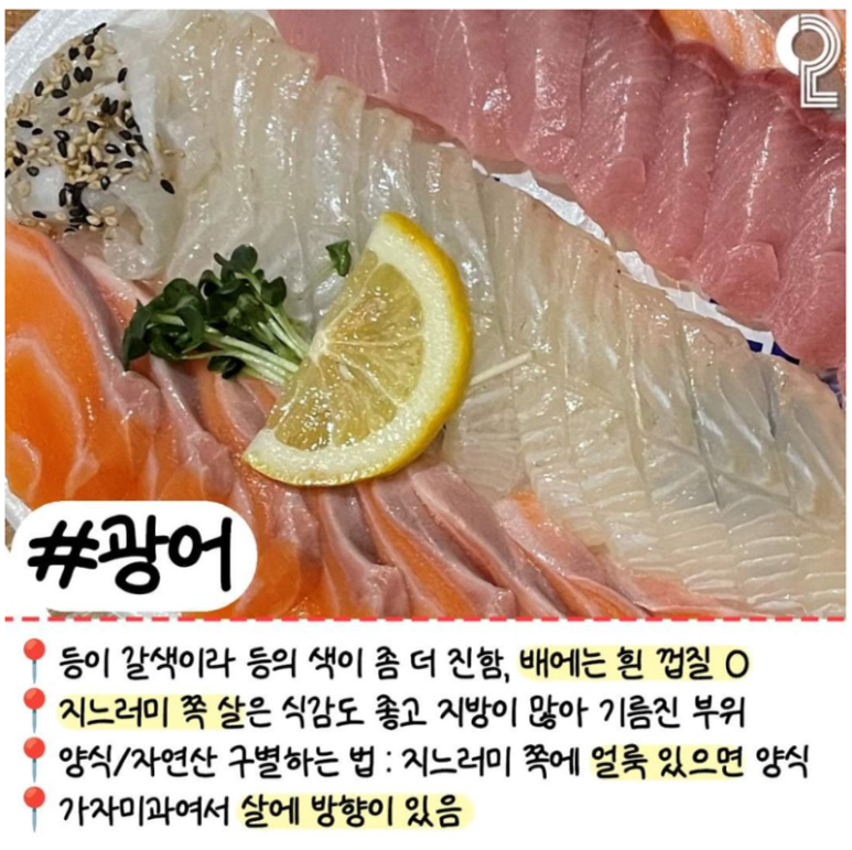 회 러버들이 꼭 알고 있어야 할 알고 먹으면 더 맛있는 모듬회 간단정리 | 인스티즈