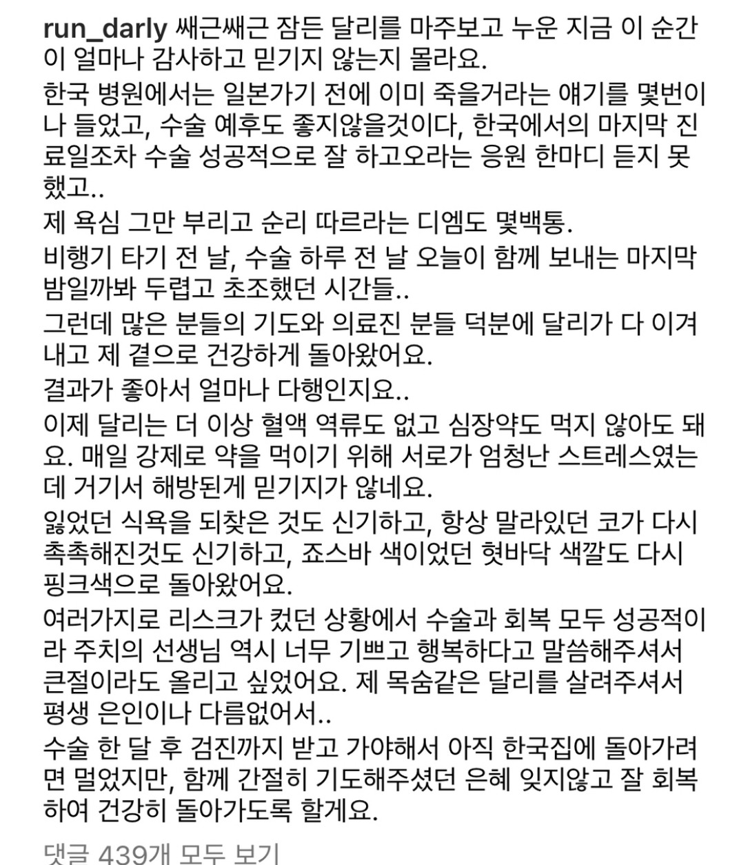 2년 가까이 소식 없는 강아지 달리.jpg | 인스티즈
