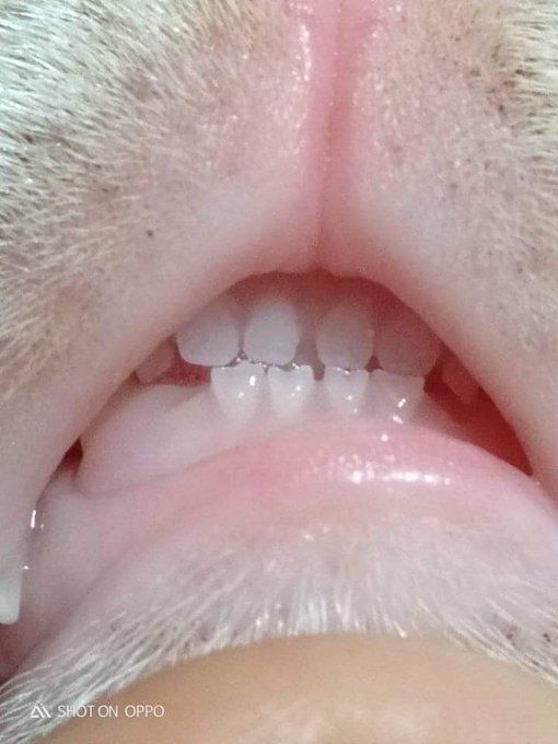 세상에서 제일 하찮은 것.jpg | 인스티즈