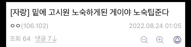 디시인이 알려주는 노숙 팁 | 인스티즈