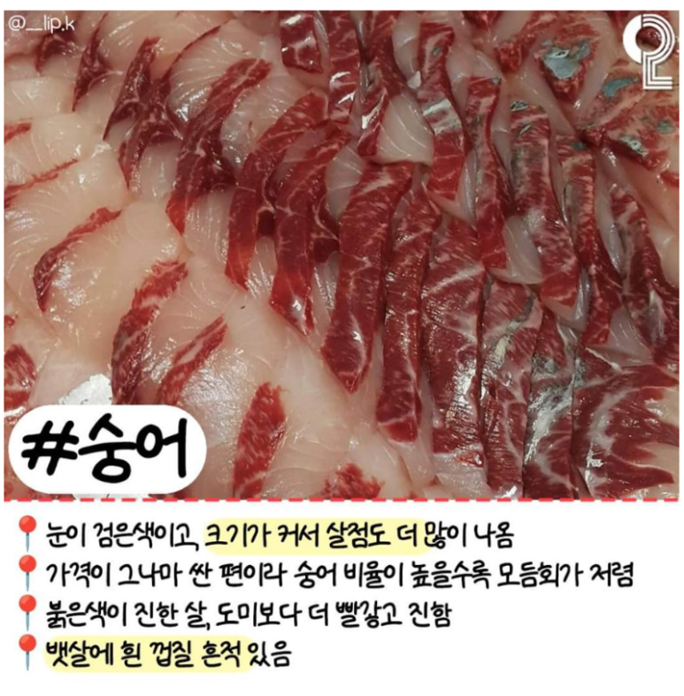 회 러버들이 꼭 알고 있어야 할 알고 먹으면 더 맛있는 모듬회 간단정리 | 인스티즈