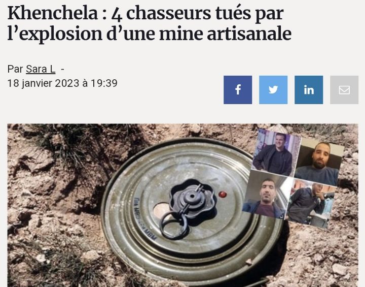 야 이거 밟아도 안 죽는다니깐 | 인스티즈