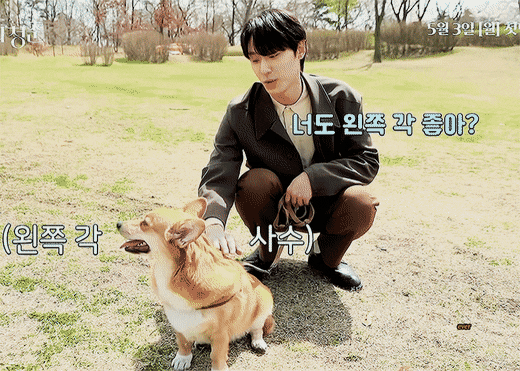 이도현 드라마 촬영장에서 반려견 가을이랑.gif | 인스티즈