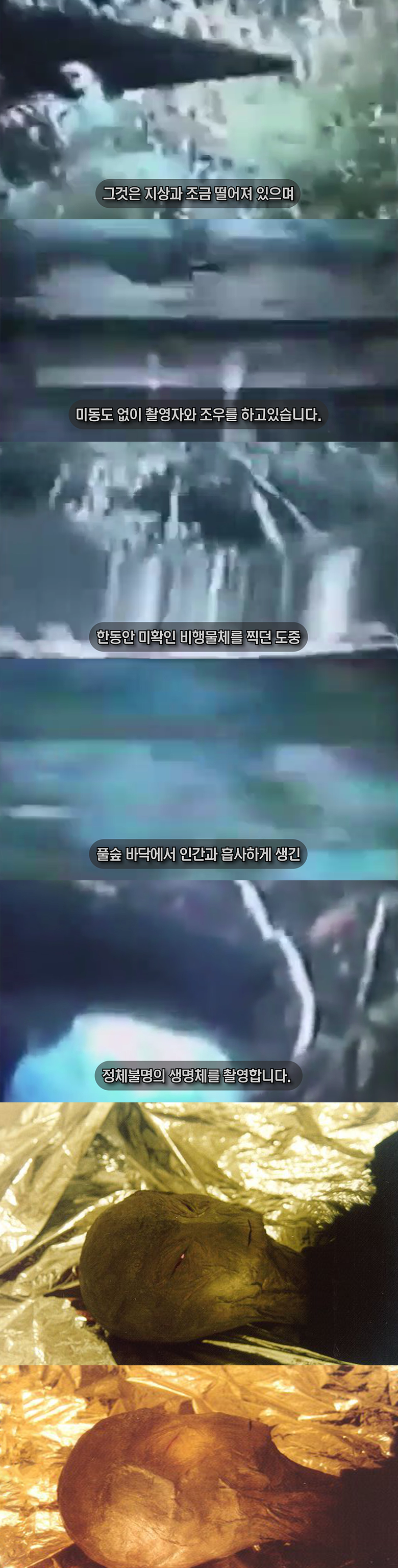 외계인을 통나무로 때려잡은 사건?! 영상 및 사진 공개 [열람주의] | 인스티즈