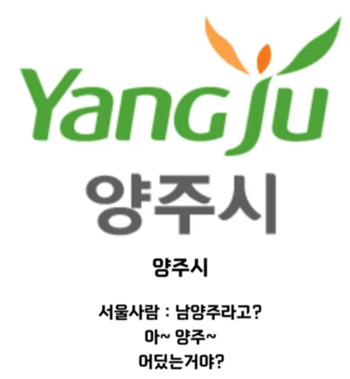 서울 사람한테 경기도 OO에 산다고 하면 자주 듣는 소리 | 인스티즈