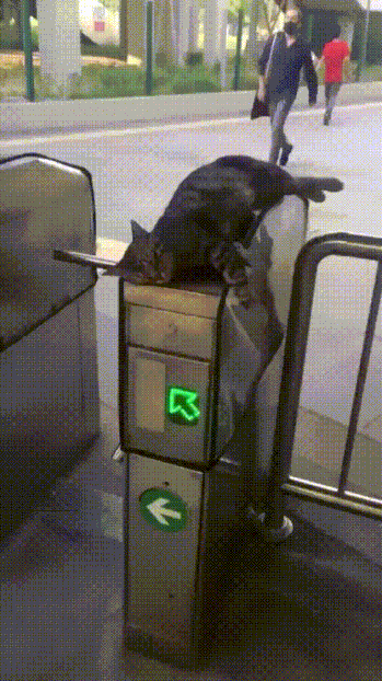 근무는 안서고 잠만 퍼자는 개찰구 역무원 | 인스티즈