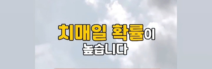 치매확률 테스트 | 인스티즈